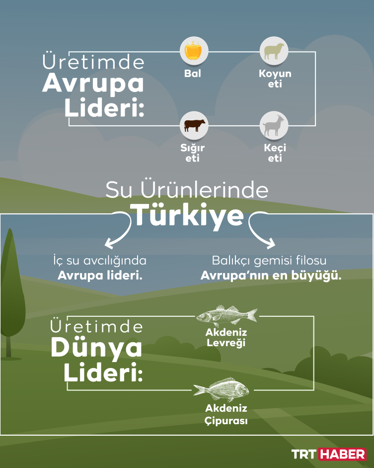 Tarım devi Türkiye